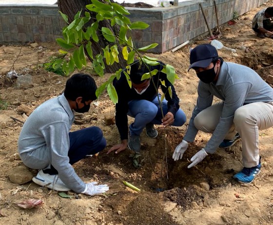 TREEPLANTING